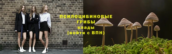 mdma Елизово