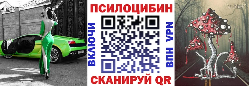 Купить где Гулькевичи Галлюциногенные грибы Magic Shrooms